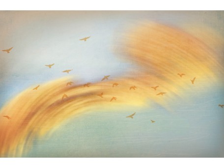 Ταπετσαρία KT-Exclusive GEMINI KT829M-MATTVINYL-KTE