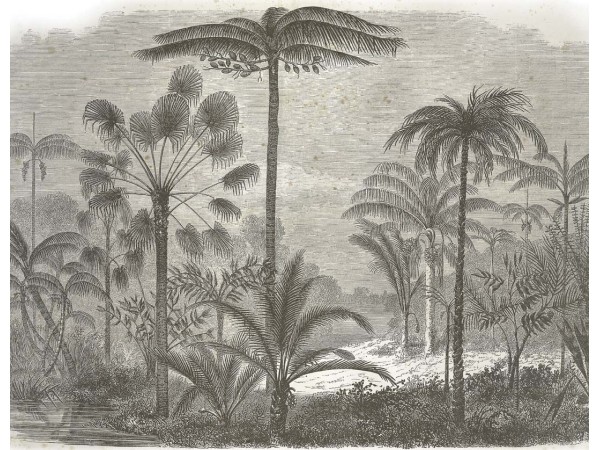 Ταπετσαρία DUTCH WALL DECOR NATURAL HISTORY NH250002-DWD