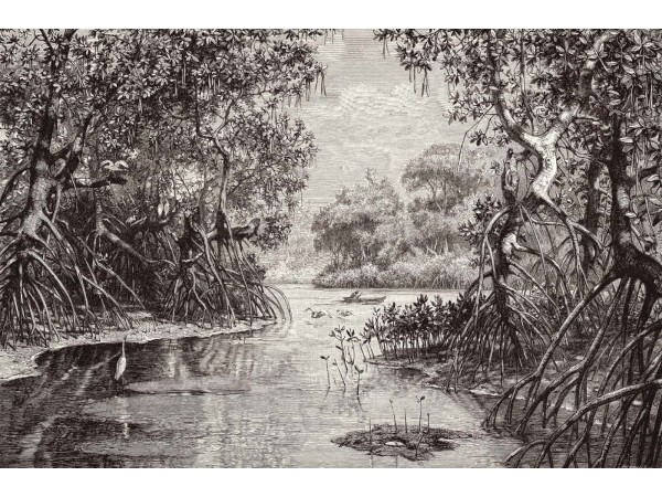 Ταπετσαρία DUTCH WALL DECOR NATURAL HISTORY NH250005-DWD