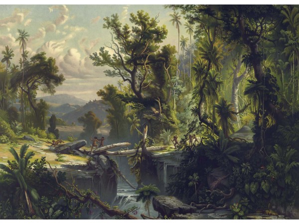 Ταπετσαρία DUTCH WALL DECOR NATURAL HISTORY NH250012-DWD