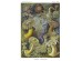 Ταπετσαρία DUTCH WALL DECOR NATURAL HISTORY NH250020-DWD
