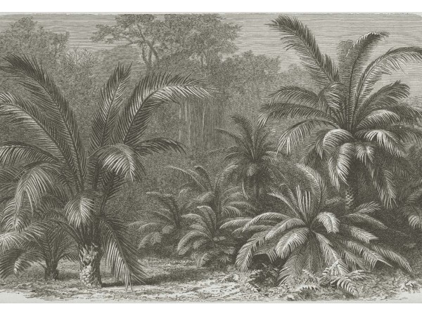 Ταπετσαρία DUTCH WALL DECOR NATURAL HISTORY NH250029-DWD