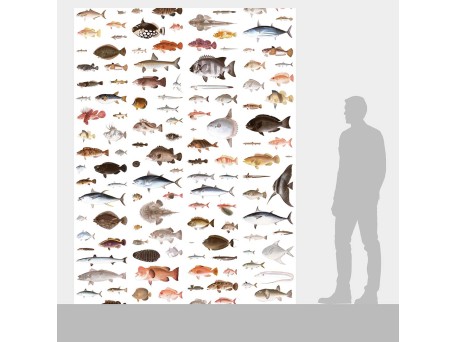 Ταπετσαρία DUTCH WALL DECOR NATURAL HISTORY NH250031-DWD