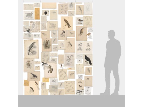 Ταπετσαρία DUTCH WALL DECOR NATURAL HISTORY NH250033-DWD