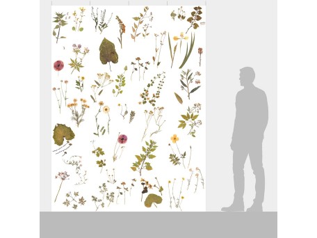 Ταπετσαρία DUTCH WALL DECOR NATURAL HISTORY NH250035-DWD