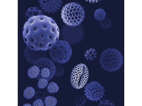 Ταπετσαρία DUTCH WALL DECOR NATURAL HISTORY NH250039-DWD