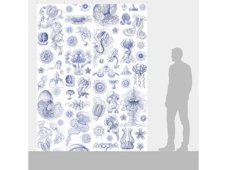 Ταπετσαρία DUTCH WALL DECOR NATURAL HISTORY NH250045-DWD