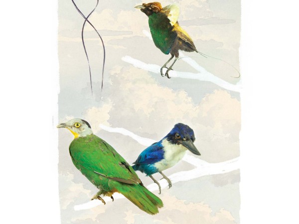 Ταπετσαρία DUTCH WALL DECOR NATURAL HISTORY NH250050-DWD