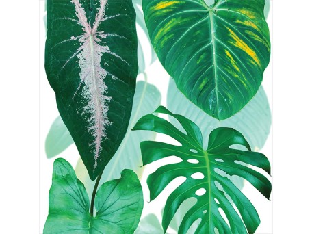 Ταπετσαρία DUTCH WALL DECOR NATURAL HISTORY NH250051-DWD