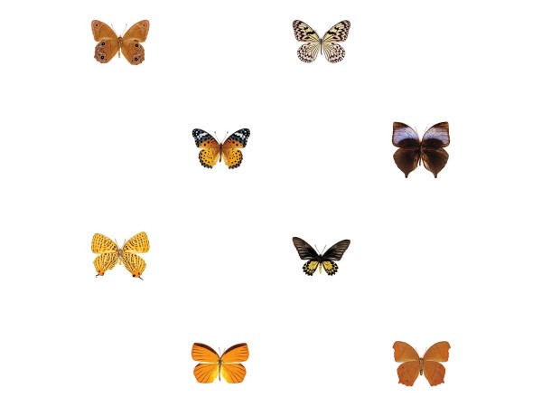 Ταπετσαρία DUTCH WALL DECOR NATURAL HISTORY NH250053-DWD