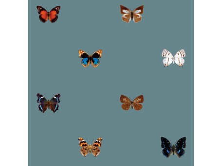 Ταπετσαρία DUTCH WALL DECOR NATURAL HISTORY NH250056-DWD