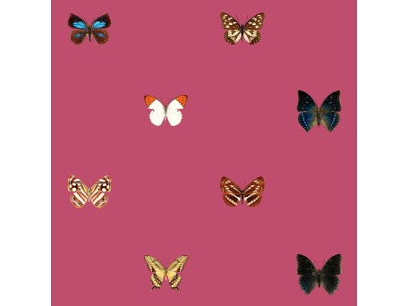 Ταπετσαρία DUTCH WALL DECOR NATURAL HISTORY NH250058-DWD