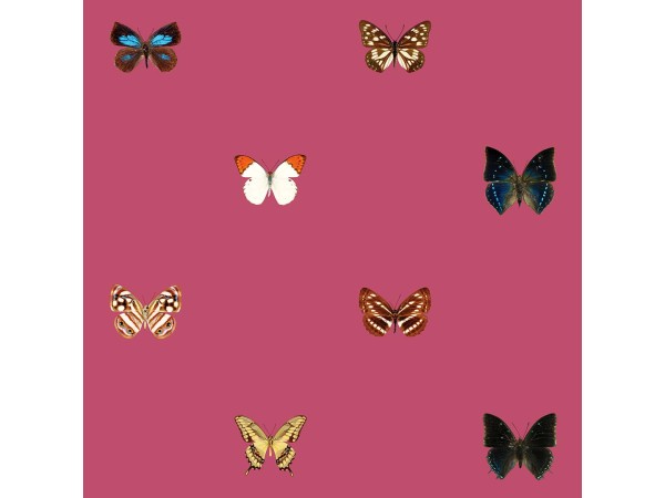 Ταπετσαρία DUTCH WALL DECOR NATURAL HISTORY NH250058-DWD