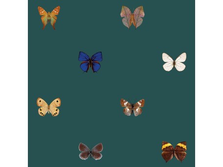 Ταπετσαρία DUTCH WALL DECOR NATURAL HISTORY NH250059-DWD