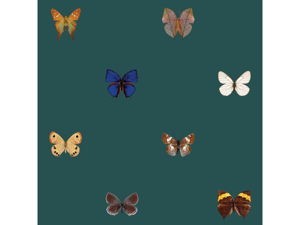 Ταπετσαρία DUTCH WALL DECOR NATURAL HISTORY NH250059-DWD