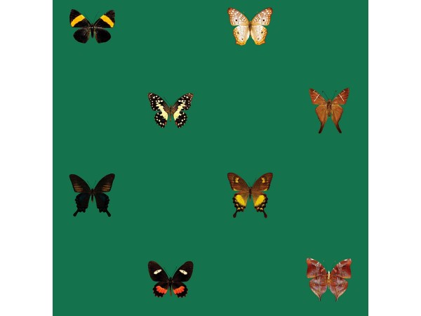 Ταπετσαρία DUTCH WALL DECOR NATURAL HISTORY NH250060-DWD