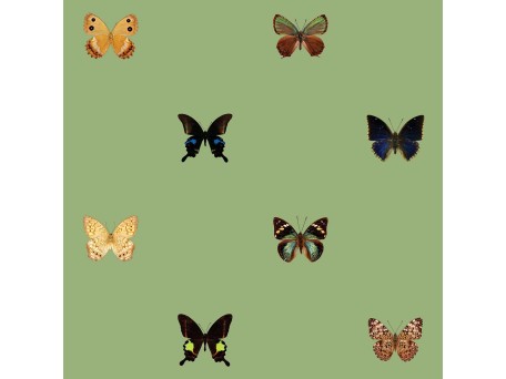 Ταπετσαρία DUTCH WALL DECOR NATURAL HISTORY NH250061-DWD