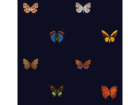 Ταπετσαρία DUTCH WALL DECOR NATURAL HISTORY NH250062-DWD