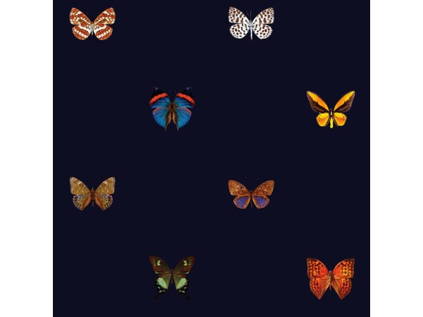 Ταπετσαρία DUTCH WALL DECOR NATURAL HISTORY NH250062-DWD