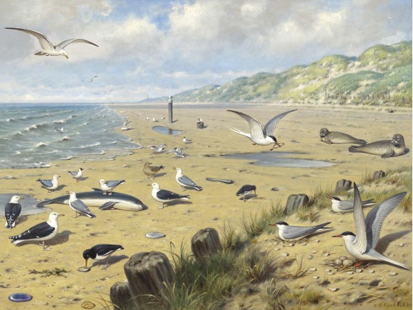 Ταπετσαρία DUTCH WALL DECOR NATURAL HISTORY NH250064-DWD