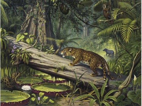 Ταπετσαρία DUTCH WALL DECOR NATURAL HISTORY NH250065-DWD