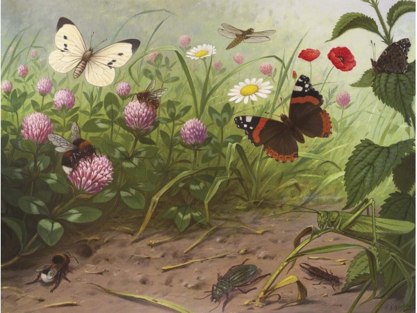 Ταπετσαρία DUTCH WALL DECOR NATURAL HISTORY NH250067-DWD