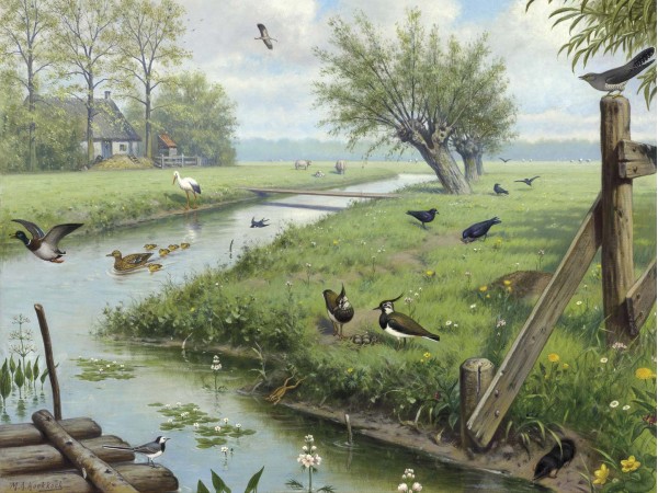 Ταπετσαρία DUTCH WALL DECOR NATURAL HISTORY NH250071-DWD