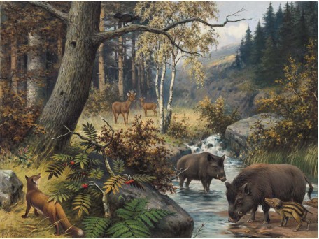 Ταπετσαρία DUTCH WALL DECOR NATURAL HISTORY NH250073-DWD