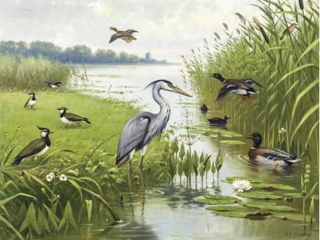 Ταπετσαρία DUTCH WALL DECOR NATURAL HISTORY NH250074-DWD