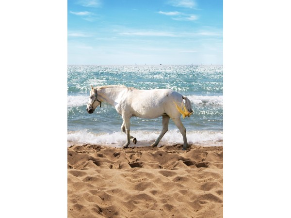 Ταπετσαρία BEHANG EXPRESSE KATE & ANTY INK7424-BEH