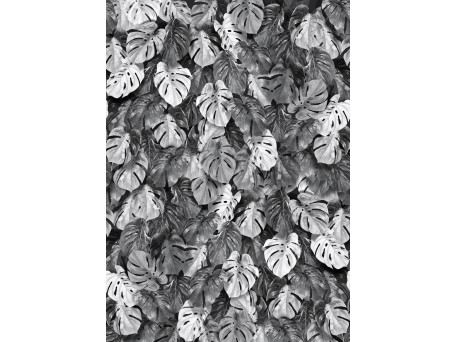 Ταπετσαρία BEHANG EXPRESSE LIGHT & DARK INK7359-BEH