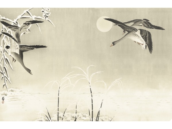 Ταπετσαρία PANORAMA 1 V103-1-ICH