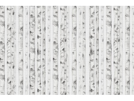 Ταπετσαρία PANORAMA 1 V107-2-ICH