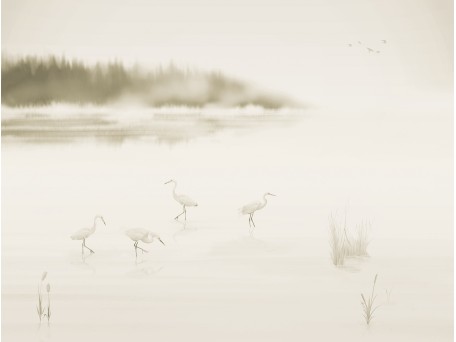 Ταπετσαρία PANORAMA 2 V169-2-ICH