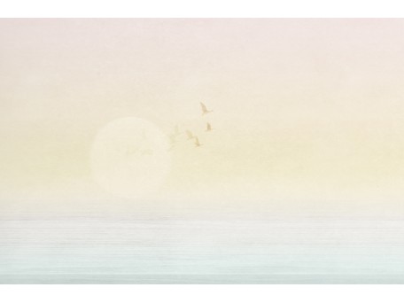 Ταπετσαρία PANORAMA 2 V170-1-ICH