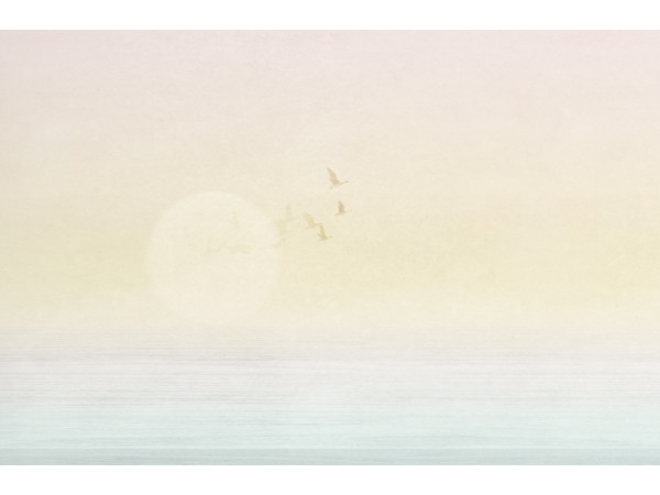 Ταπετσαρία PANORAMA 2 V170-1-ICH