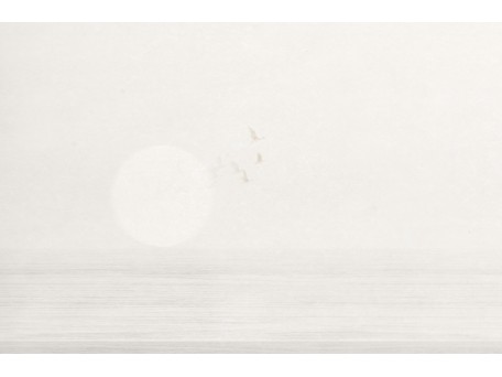 Ταπετσαρία PANORAMA 2 V170-2-ICH