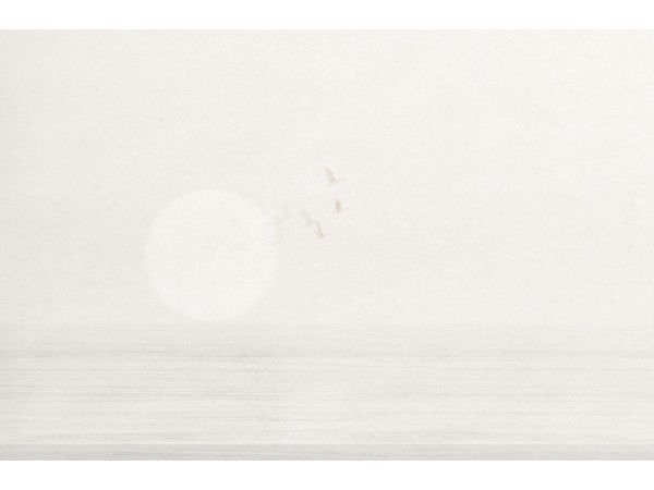 Ταπετσαρία PANORAMA 2 V170-2-ICH