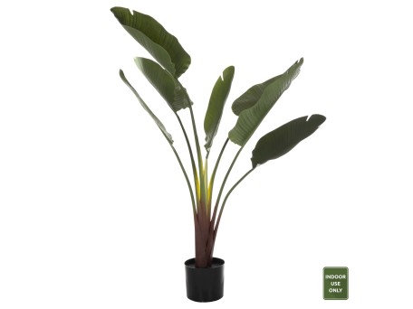 ΔΙΑΚΟΣΜΗΤΙΚΟ ΣΥΝΘΕΤΙΚΟ ΦΥΤΟ HM7981 ΣΤΡΕΛΙΤΣΙΑ ΣΕ ΓΛΑΣΤΡΑ Φ17x14,5-137Y εκ.