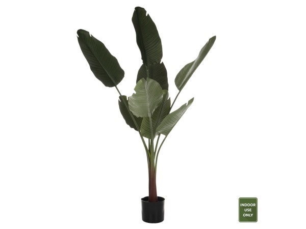 ΔΙΑΚΟΣΜΗΤΙΚΟ ΣΥΝΘΕΤΙΚΟ ΦΥΤΟ HM7982 ΣΤΡΕΛΙΤΣΙΑ ΣΕ ΓΛΑΣΤΡΑ Φ17x14,5-150Yεκ.