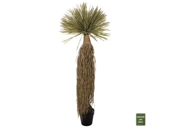 ΔΙΑΚΟΣΜΗΤΙΚΟ ΣΥΝΘΕΤΙΚΟ ΦΥΤΟ HM7973 SCARECROW ΣΕ ΓΛΑΣΤΡΑ 145Υεκ. ΔΙΑΚΟΣΜΗΤΙΚΟ ΣΥΝΘΕΤΙΚΟ ΦΥΤΟ HM7973 SCARECROW ΣΕ ΓΛΑΣΤΡΑ 145Υεκ.