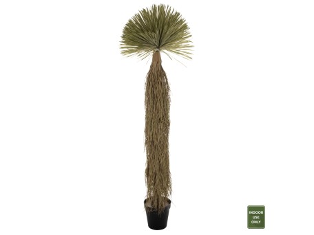 ΔΙΑΚΟΣΜΗΤΙΚΟ ΣΥΝΘΕΤΙΚΟ ΦΥΤΟ HM7974 SCARECROW ΣΕ ΓΛΑΣΤΡΑ 220Υεκ.