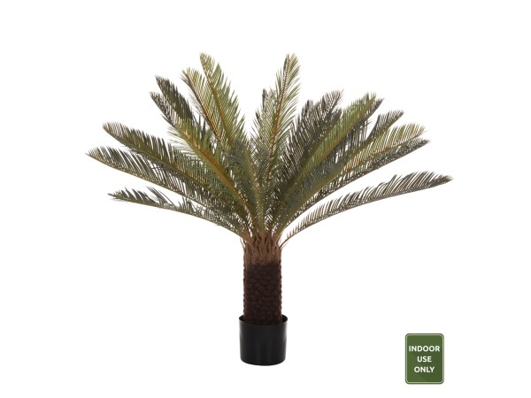 ΔΙΑΚΟΣΜΗΤΙΚΟ ΣΥΝΘΕΤΙΚΟ ΦΥΤΟ HM7983 ΑΚΑΝΘΩΔΕΣ ΦΟΙΝΙΚΟΔΕΝΤΡΟ ΣΕ ΓΛΑΣΤΡΑ 94Υεκ. ΔΙΑΚΟΣΜΗΤΙΚΟ ΣΥΝΘΕΤΙΚΟ ΦΥΤΟ HM7983 ΑΚΑΝΘΩΔΕΣ ΦΟΙΝΙΚΟΔΕΝΤΡΟ ΣΕ ΓΛΑΣΤΡΑ 94Υεκ.