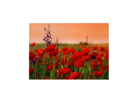 ΠΙΝΑΚΑΣ TOIXOY ΣΕΙΡΑ GOBI HM4760 ΕΚΤΥΠΩΜΕΝΟΣ ΚΑΜΒΑΣ 70x3(πάχος)x50Υεκ.