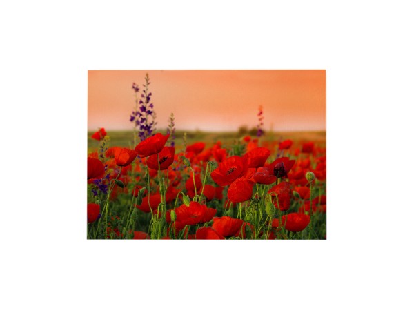 ΠΙΝΑΚΑΣ TOIXOY ΣΕΙΡΑ GOBI HM4760 ΕΚΤΥΠΩΜΕΝΟΣ ΚΑΜΒΑΣ 70x3(πάχος)x50Υεκ. ΠΙΝΑΚΑΣ TOIXOY ΣΕΙΡΑ GOBI HM4760 ΕΚΤΥΠΩΜΕΝΟΣ ΚΑΜΒΑΣ 70x3(πάχος)x50Υεκ.