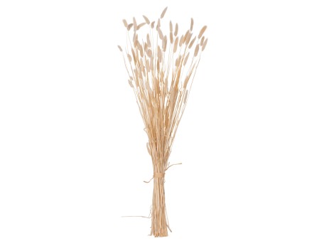 ΔΙΑΚΟΣΜΗΤΙΚΟ ΜΠΟΥΚΕΤΟ ΑΠΟΞΗΡΑΜΕΝΟ HM7959 RABBIT TAIL- CREAM 50gr 76Υεκ.