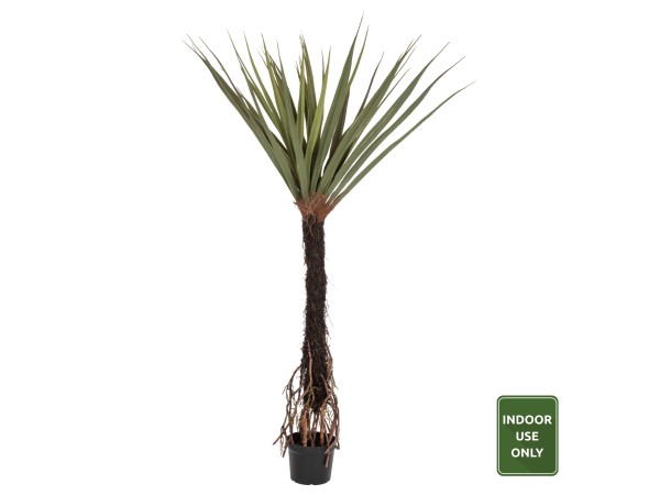 ΔΙΑΚΟΣΜΗΤΙΚΟ ΣΥΝΘΕΤΙΚΟ ΦΥΤΟ HM7989 ΔΕΝΤΡΟ SISAL ΣΕ ΓΛΑΣΤΡΑ 200Υεκ. ΔΙΑΚΟΣΜΗΤΙΚΟ ΣΥΝΘΕΤΙΚΟ ΦΥΤΟ HM7989 ΔΕΝΤΡΟ SISAL ΣΕ ΓΛΑΣΤΡΑ 200Υεκ.