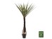 ΔΙΑΚΟΣΜΗΤΙΚΟ ΣΥΝΘΕΤΙΚΟ ΦΥΤΟ HM7989 ΔΕΝΤΡΟ SISAL ΣΕ ΓΛΑΣΤΡΑ 200Υεκ. ΔΙΑΚΟΣΜΗΤΙΚΟ ΣΥΝΘΕΤΙΚΟ ΦΥΤΟ HM7989 ΔΕΝΤΡΟ SISAL ΣΕ ΓΛΑΣΤΡΑ 200Υεκ.