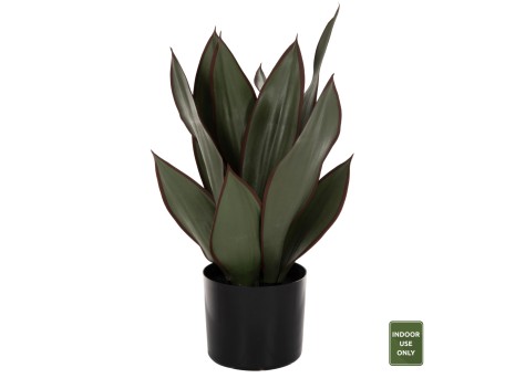 ΔΙΑΚΟΣΜΗΤΙΚΟ ΣΥΝΘΕΤΙΚΟ ΦΥΤΟ HM7996 ΠΛΑΤΥΦΥΛΛΗ ΣΑΝΣΕΒΙΕΡΙΑ ΣΕ ΓΛΑΣΤΡΑ Φ14x12-51Υεκ.