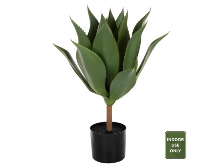 ΔΙΑΚΟΣΜΗΤΙΚΟ ΣΥΝΘΕΤΙΚΟ ΦΥΤΟ HM7998 ΠΛΑΤΥΦΥΛΛΗ ΑΓΑΥΗ ΣΕ ΓΛΑΣΤΡΑ Φ15x12,5-62Υεκ.